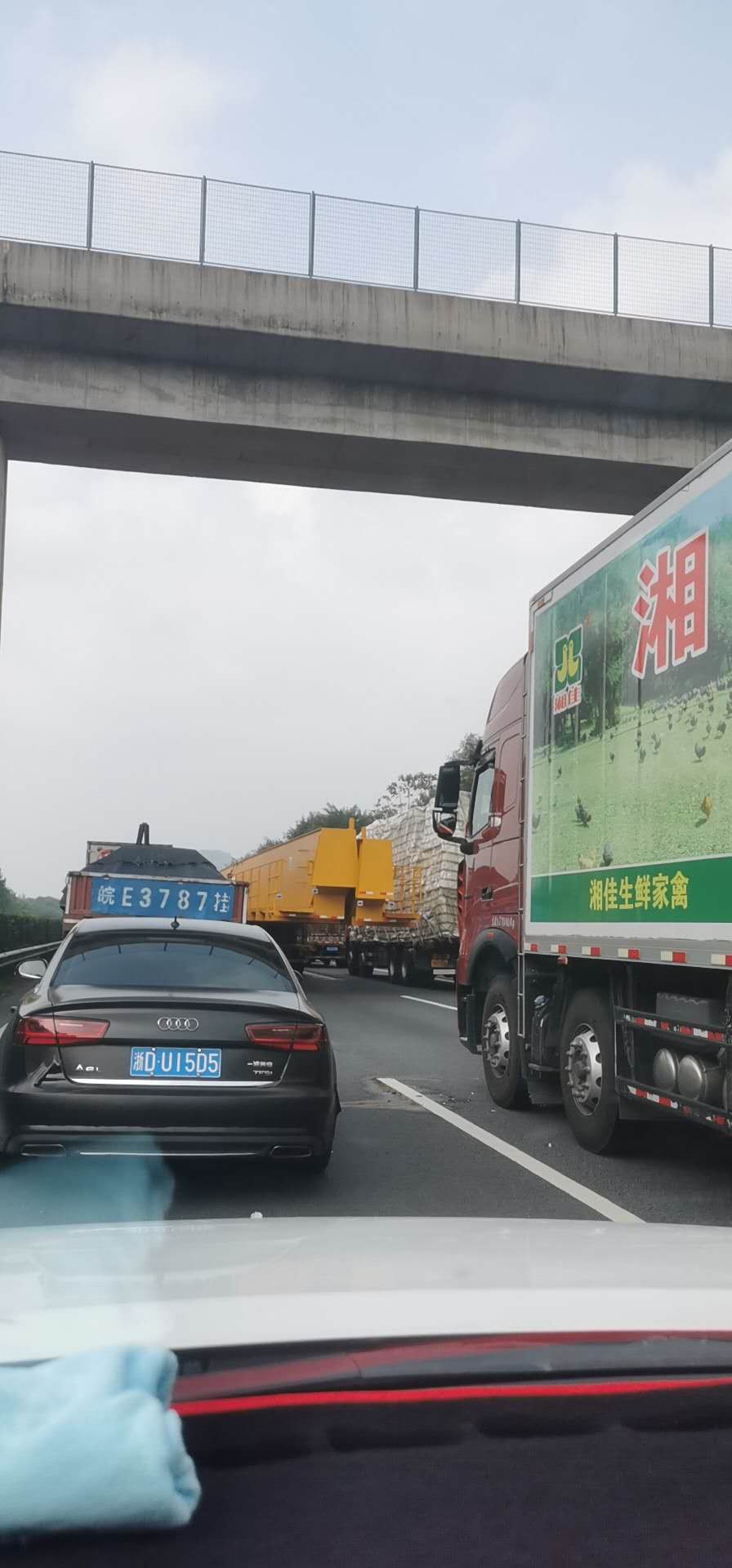 沪武高速路况实时查询:堵车缓行,堵了九个小时了 到底